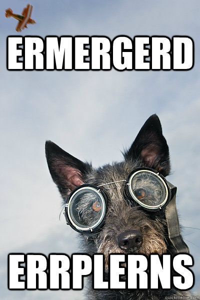 ERMERGERD ERRPLERNS  