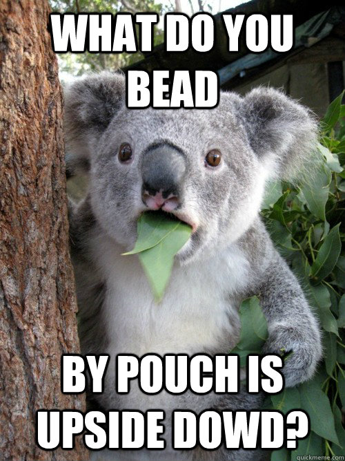 What do you bead by pouch is upside dowd?  Koala
