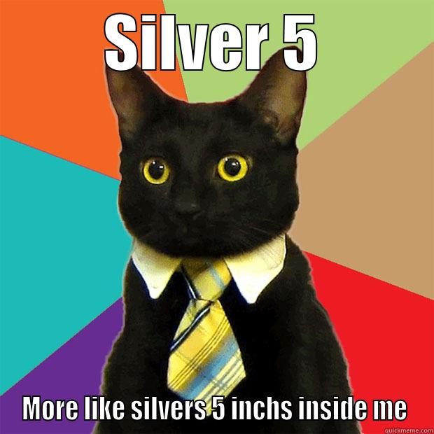 SILVER 5 MORE LIKE SILVERS 5 INCHS INSIDE ME Business Cat