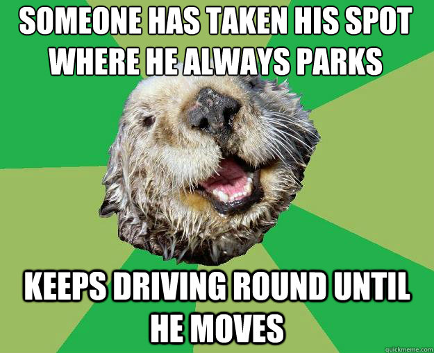 Someone has taken his spot where he always parks keeps driving round until he moves  OCD Otter