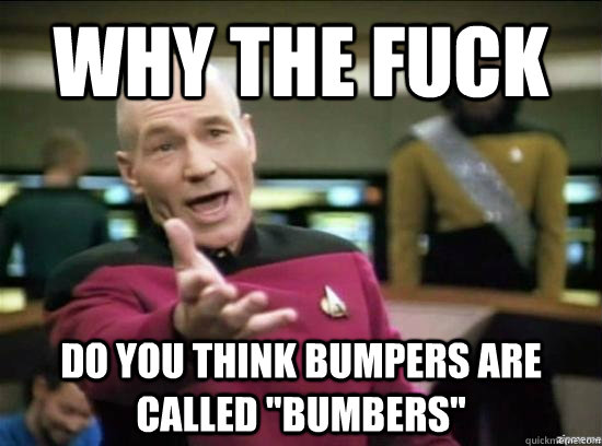 Why the fuck Do you think bumpers are called 