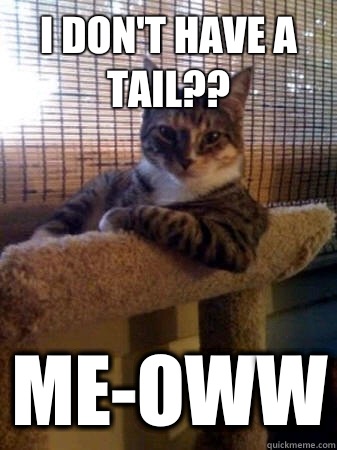 I don't have a tail?? ME-OWW  The Most Interesting Cat in the World