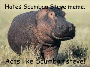 Hates Scumbag Steve meme. Acts like Scumbag steve! - Hates Scumbag Steve meme. Acts like Scumbag steve!  Hippocritical Hippo