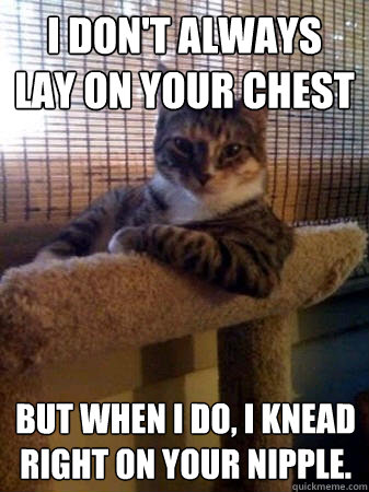I don't always lay on your chest but when I do, I knead right on your nipple.   The Most Interesting Cat in the World