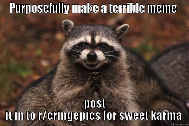 PURPOSEFULLY MAKE A TERRIBLE MEME  POST IT IN TO R/CRINGEPICS FOR SWEET KARMA Evil Plotting Raccoon