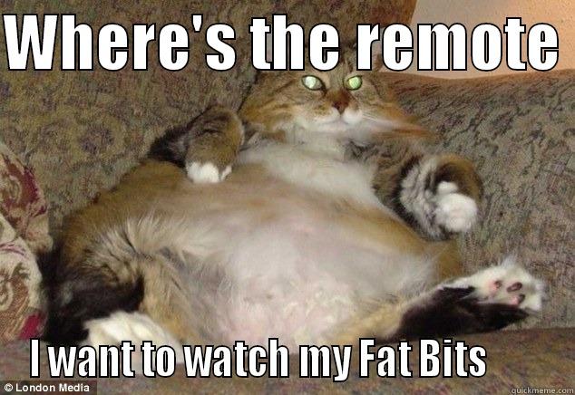 WHERE'S THE REMOTE  I WANT TO WATCH MY FAT BITS        Misc