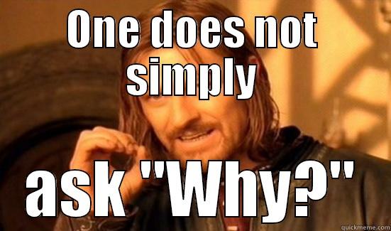 ONE DOES NOT SIMPLY ASK 