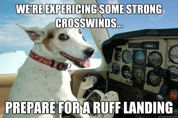 We're expericing some strong crosswinds... prepare for a ruff landing  Co-Pilot Dog