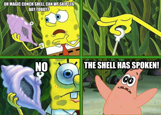 oh magic conch shell, can we skip leg day today?  No The shell has spoken! - oh magic conch shell, can we skip leg day today?  No The shell has spoken!  The Shell Has Spoken