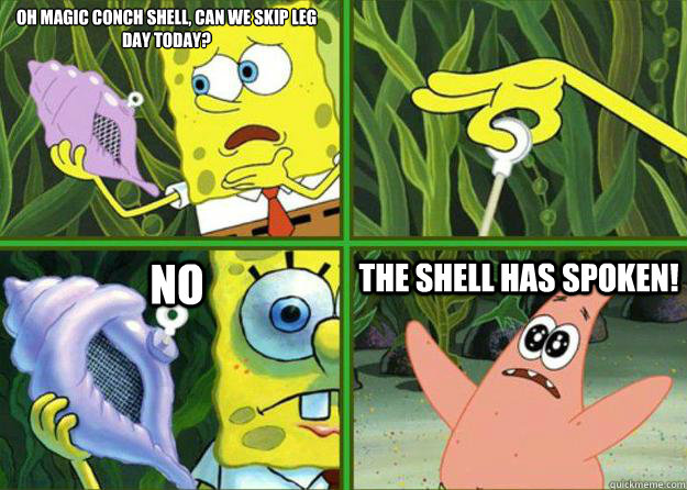 oh magic conch shell, can we skip leg day today?  No The shell has spoken!  The Shell Has Spoken