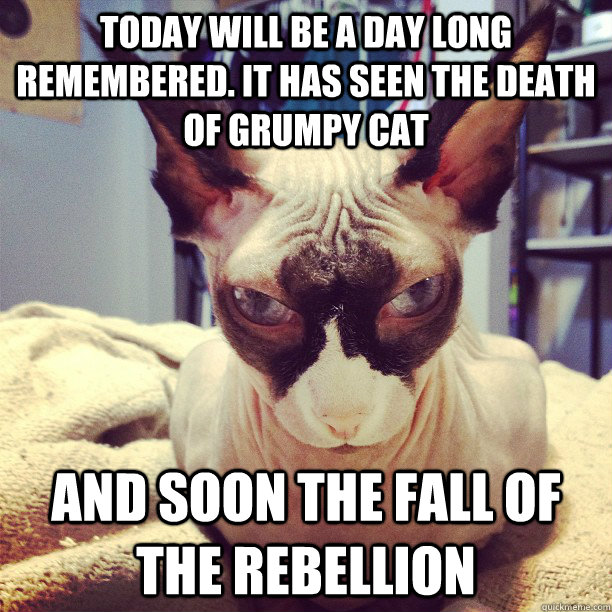 Today will be a day long remembered. It has seen the death of Grumpy Cat and soon the fall of the rebellion - Today will be a day long remembered. It has seen the death of Grumpy Cat and soon the fall of the rebellion  Darth Feline