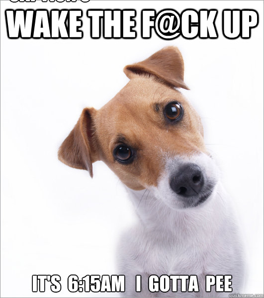 Wake the F@ck up it's  6:15am   I  gotta  Pee Caption 3 goes here - Wake the F@ck up it's  6:15am   I  gotta  Pee Caption 3 goes here  wake up dog