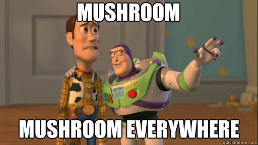 MUSHROOM MUSHROOM EVERYWHERE  Everywhere