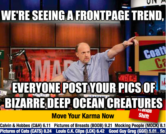 We're seeing a frontpage trend, 
 everyone post your pics of Bizarre Deep ocean creatures - We're seeing a frontpage trend, 
 everyone post your pics of Bizarre Deep ocean creatures  Mad Karma with Jim Cramer