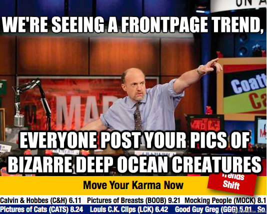 We're seeing a frontpage trend, 
 everyone post your pics of Bizarre Deep ocean creatures  Mad Karma with Jim Cramer