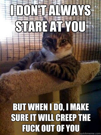I don't always stare at you but when I do, I make sure it will creep the fuck out of you  The Most Interesting Cat in the World