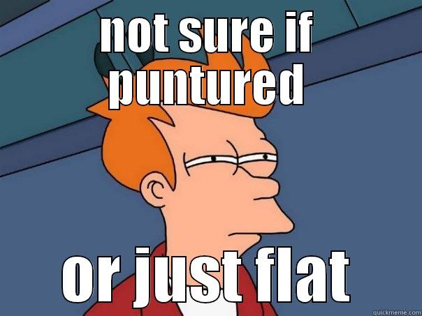 NOT SURE IF PUNTURED OR JUST FLAT Futurama Fry