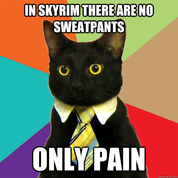 In skyrim there are no sweatpants ONLY PAIN  Business Cat
