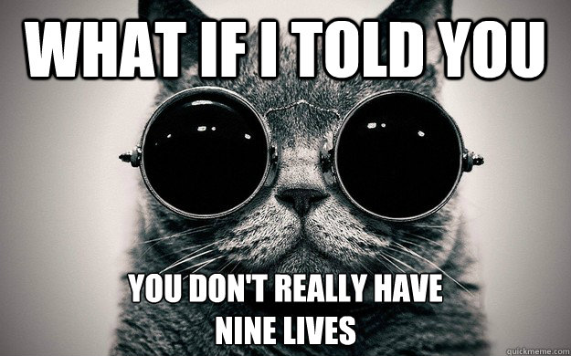 What if i told you You don't really have 
nine lives - What if i told you You don't really have 
nine lives  Morpheus Cat Facts