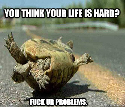You think your life is hard?  fuck ur problems. - You think your life is hard?  fuck ur problems.  upside down turtle