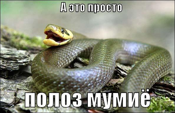                              А ЭТО ПРОСТО                                        ПОЛОЗ МУМИЁ      Misc