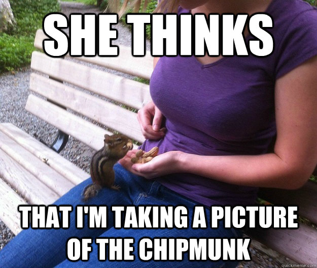 she thinks that i'm taking a picture of the chipmunk - she thinks that i'm taking a picture of the chipmunk  Misc