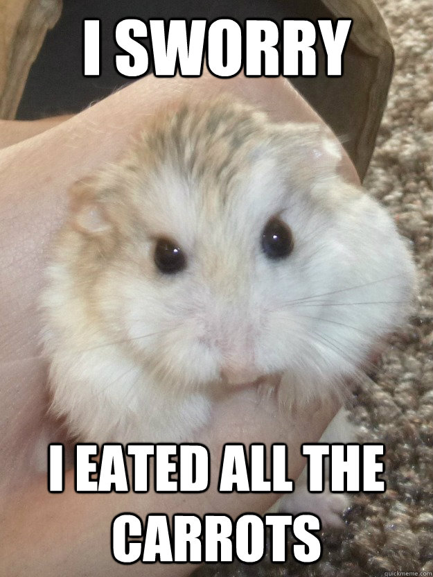 I sworry I eated all the carrots   Sad Hamster
