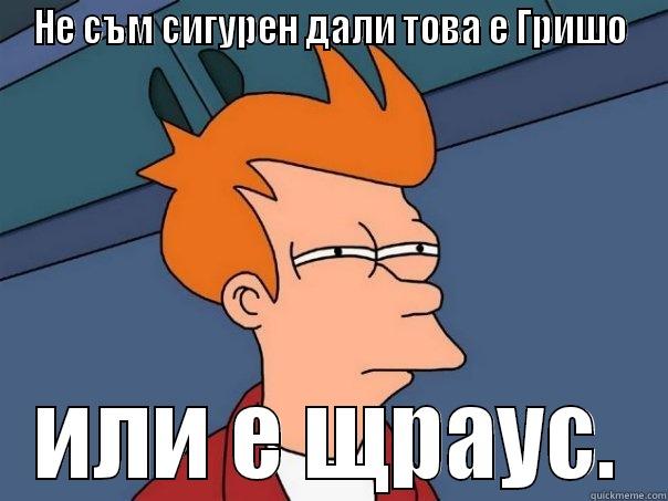 НЕ СЪМ СИГУРЕН ДАЛИ ТОВА Е ГРИШО ИЛИ Е ЩРАУС. Futurama Fry