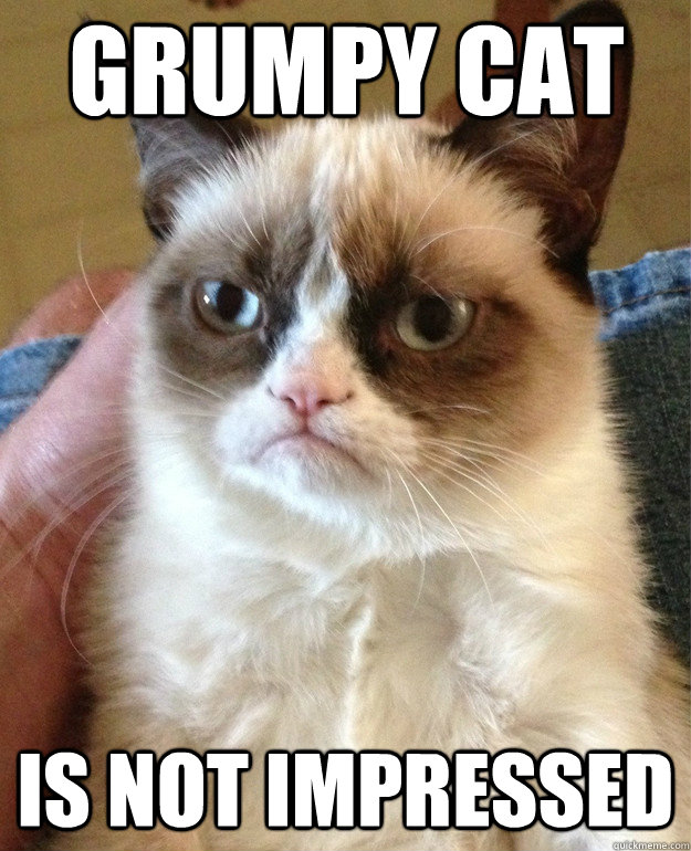 Grumpy cat is not impressed  Grumpy Cat