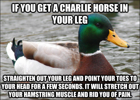 If you get a charlie horse in your leg straighten out your leg and point your toes to your head for a few seconds. it will stretch out your hamstring muscle and rid you of pain.  Actual Advice Mallard