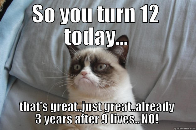SO YOU TURN 12 TODAY... THAT'S GREAT..JUST GREAT..ALREADY 3 YEARS AFTER 9 LIVES.. NO! Grumpy Cat