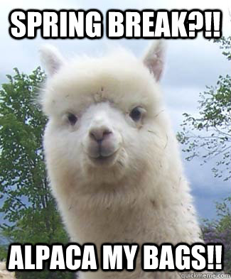 Spring Break?!! Alpaca my bags!!  Alpaca-pun Alpaca