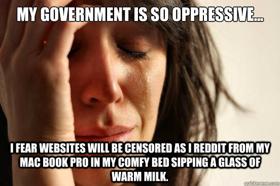 MY GOVERNMENT IS SO OPPRESSIVE... I FEAR WEBSITES WILL BE CENSORED AS I REDDIT FROM MY MAC BOOK PRO IN MY COMFY BED SIPPING A GLASS OF WARM MILK.  First World Problems