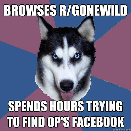 browses r/gonewild Spends hours trying to find op's facebook - browses r/gonewild Spends hours trying to find op's facebook  Creeper Canine