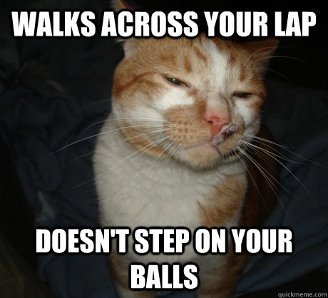 walks across your lap doesn't step on your balls  