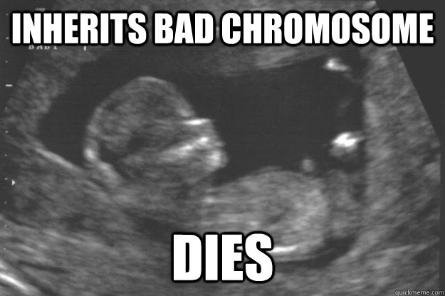 inherits bad chromosome dies - inherits bad chromosome dies  Prenatal Freshman