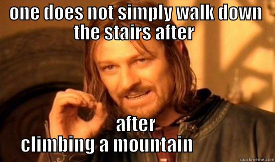 ONE DOES NOT SIMPLY WALK DOWN THE STAIRS AFTER  AFTER CLIMBING A MOUNTAIN                 Boromir