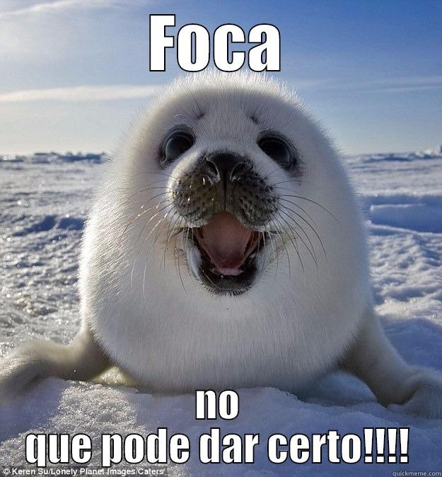 FOCA NO QUE PODE DAR CERTO!!!! Easily Pleased Seal