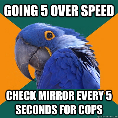 Going 5 over speed check mirror every 5 seconds for cops  Paranoid Parrot