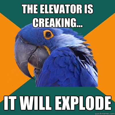 The Elevator is creaking... IT WILL EXPLODE  Paranoid Parrot