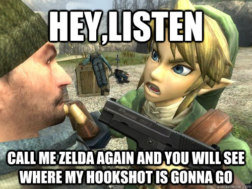 HEY,LISTEN call me zelda again and you will see where my hookshot is gonna go  