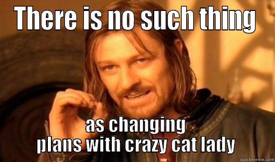 THERE IS NO SUCH THING AS CHANGING PLANS WITH CRAZY CAT LADY Boromir