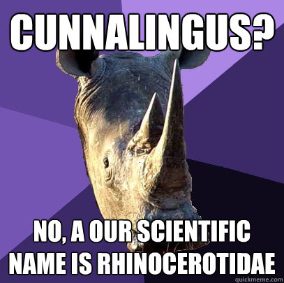 Cunnalingus? No, a our scientific name is Rhinocerotidae  Sexually Oblivious Rhino