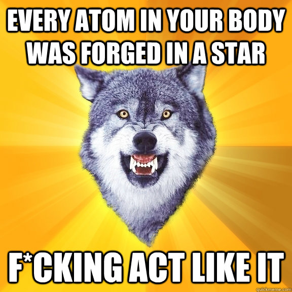 Every atom in your body was forged in a star F*cking act like it   Courage Wolf
