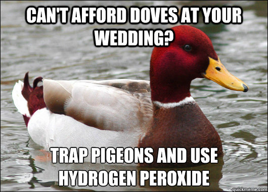 Can't afford Doves at your wedding? Trap Pigeons and use
hydrogen peroxide  Malicious Advice Mallard