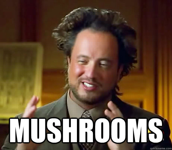  mushrooms -  mushrooms  Ancient Aliens