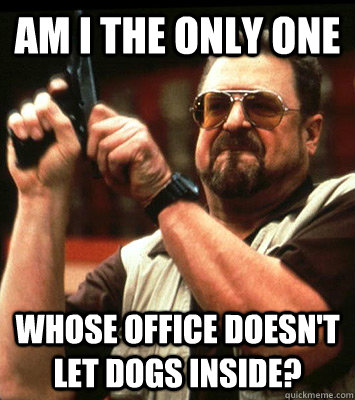 AM I THE ONLY ONE  Whose office doesn't let dogs inside? - AM I THE ONLY ONE  Whose office doesn't let dogs inside?  Misc