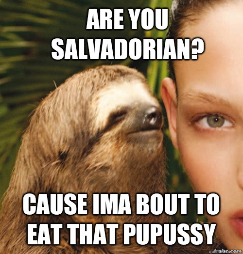 Are you Salvadorian? Cause ima bout to eat that Pupussy  rape sloth