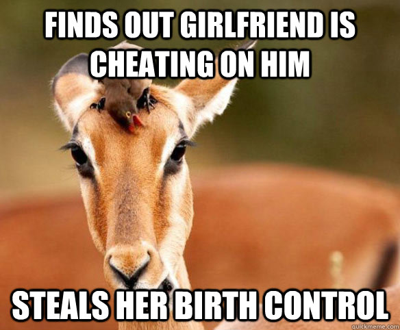 Finds out girlfriend is cheating on him steals her birth control - Finds out girlfriend is cheating on him steals her birth control  Passive Aggressive Antelope