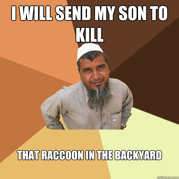 i will send my son to kill that raccoon in the backyard  Ordinary Muslim Man